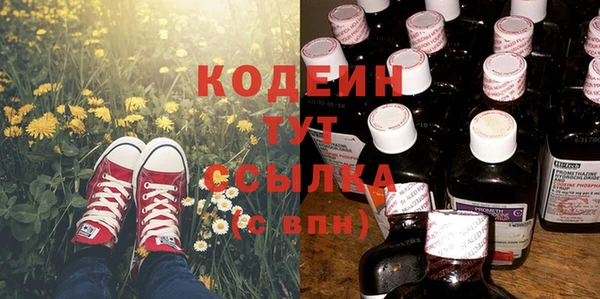 молекула духа Новодвинск