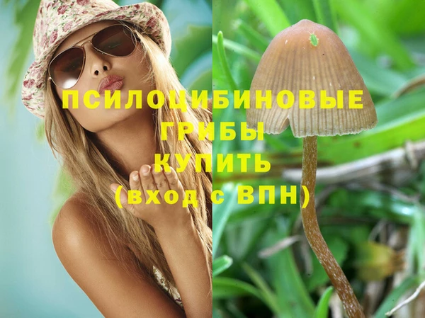 стаф Абаза