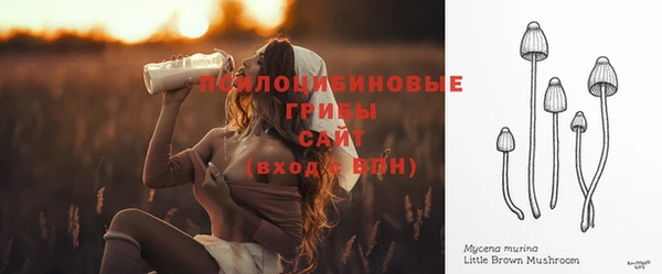 МДМА Новозыбков
