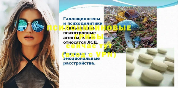 стаф Абаза
