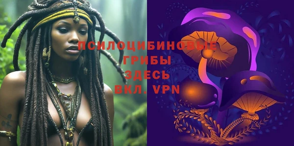 стаф Абаза