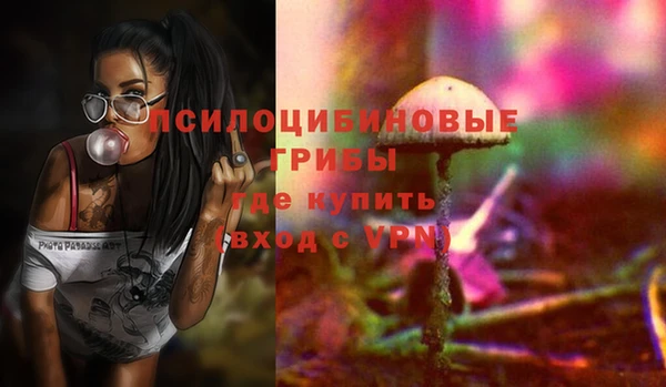 стаф Абаза
