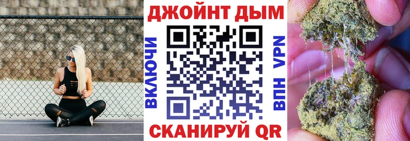 Конопля сатива  Тотьма 